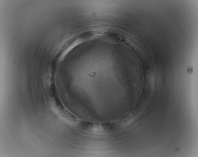 X0000112830600200908211218