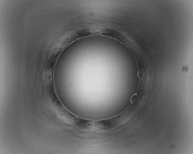 X0000112830601200908211218