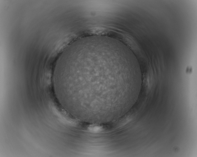 X0000112830602200908211218
