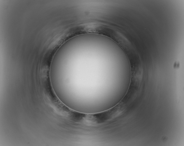 X0000112830603200908211218