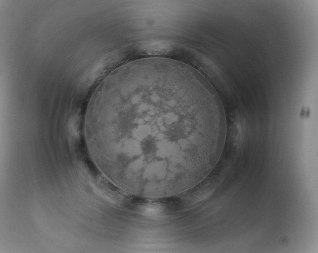 X0000112830604200908211218