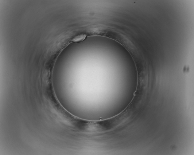 X0000112830605200908211218