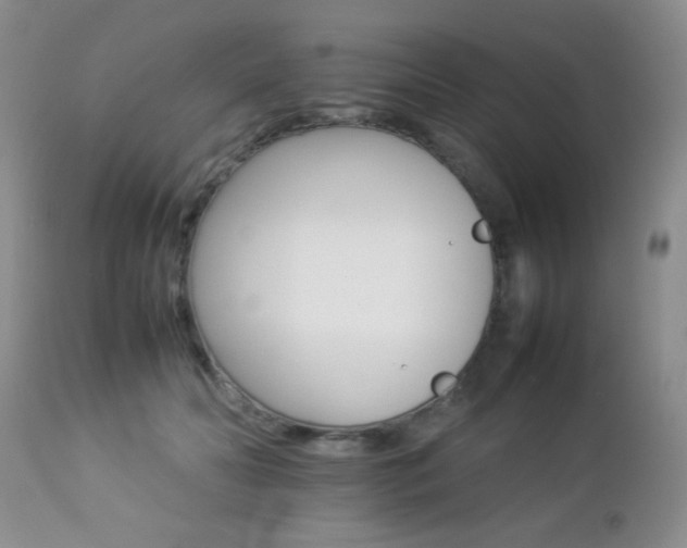 X0000112830606200908211218