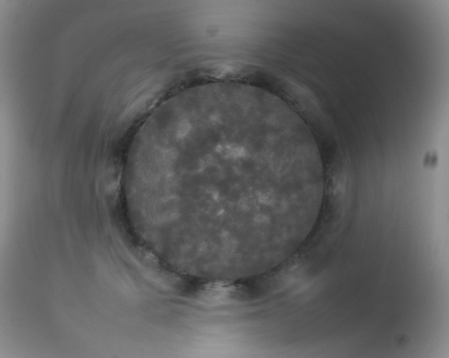X0000112830607200908211218