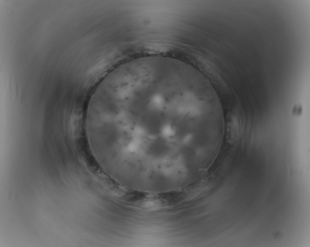 X0000112830608200908211218