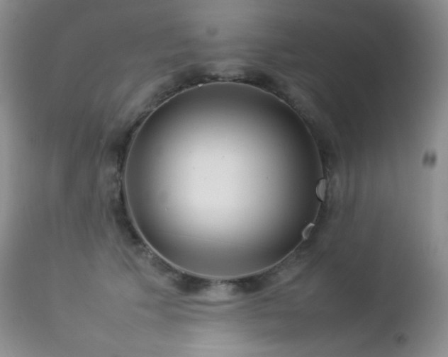 X0000112830609200908211218