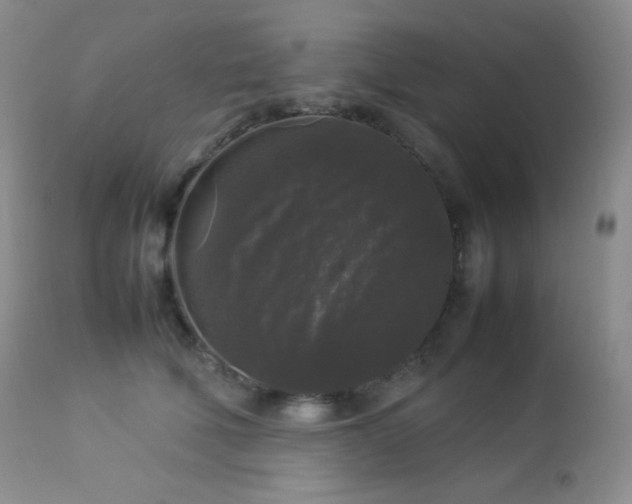 X0000112830610200908211218