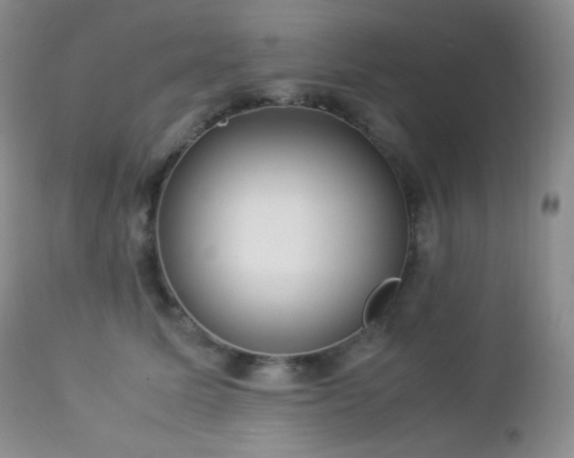 X0000112830611200908211218