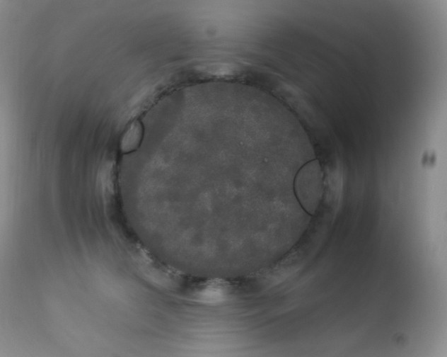 X0000112830612200908211218