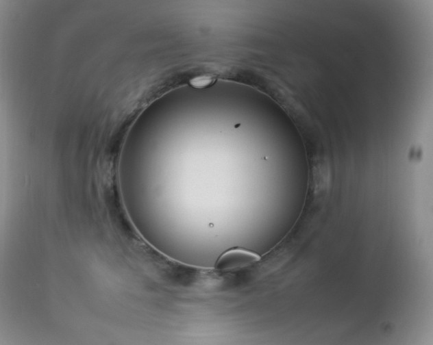 X0000112830613200908211218