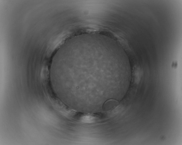 X0000112830614200908211218