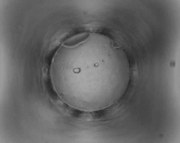 X0000112830615200908211218