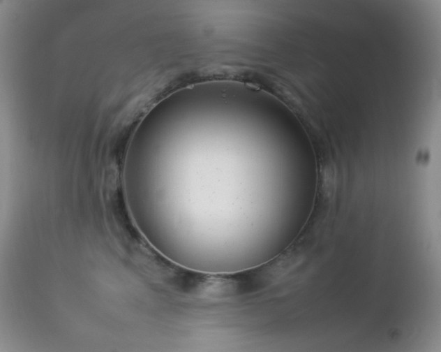 X0000112830617200908211218