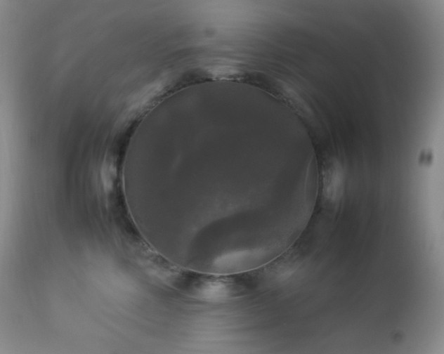 X0000112830618200908211218