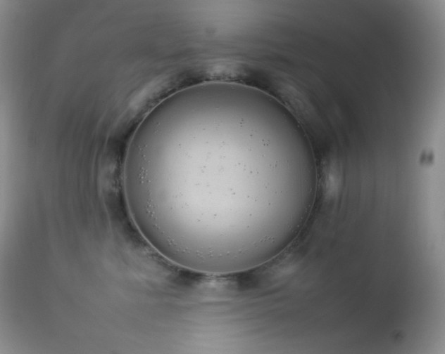 X0000112830619200908211218
