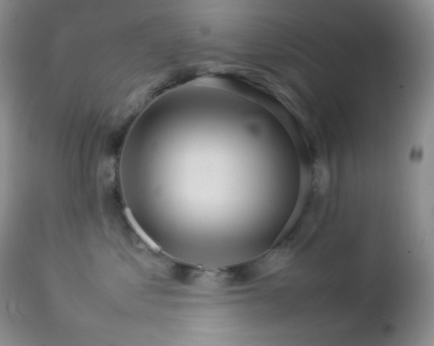 X0000112830621200908211218