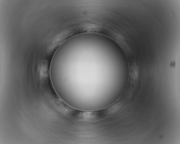 X0000112830622200908211218