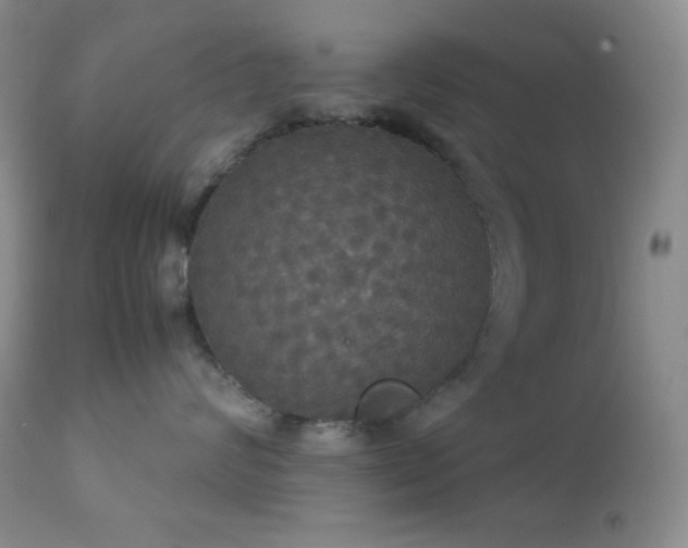 X0000112830624200908211218