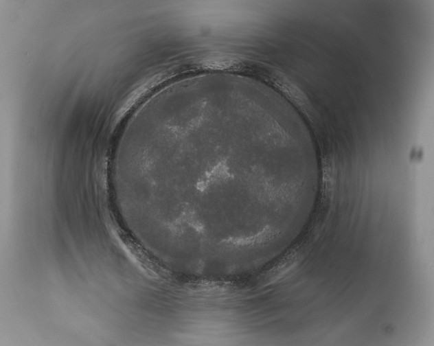 X0000112830626200908211217