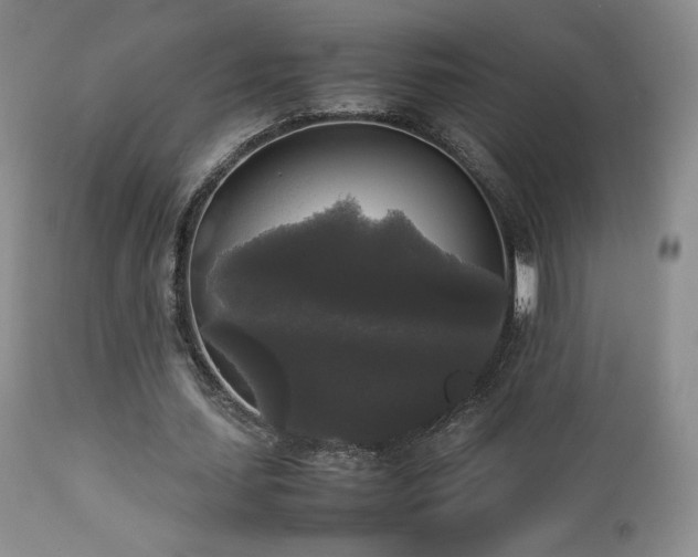 X0000112830627200908211217