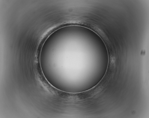 X0000112830628200908211217