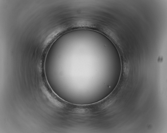 X0000112830629200908211217
