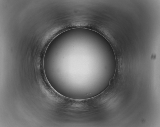 X0000112830631200908211217