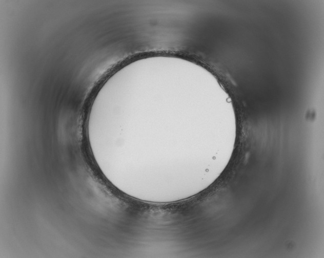 X0000112830632200908211217