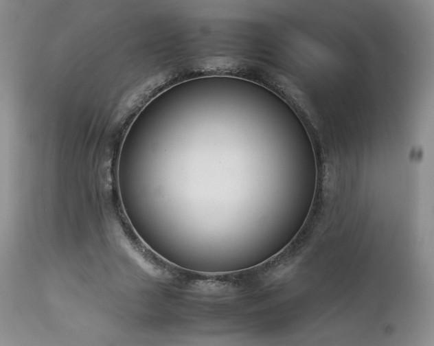 X0000112830633200908211217