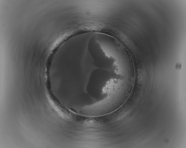 X0000112830634200908211217