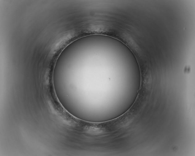 X0000112830635200908211218