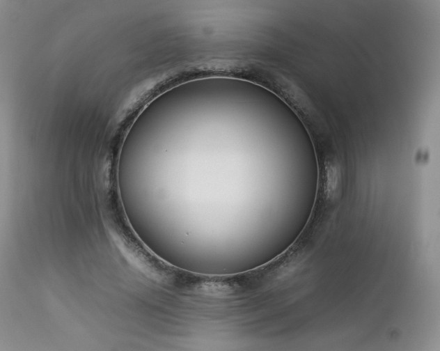 X0000112830636200908211218
