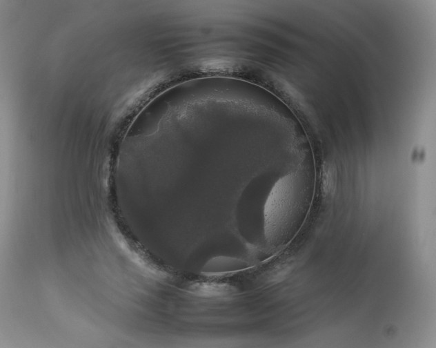 X0000112830637200908211218