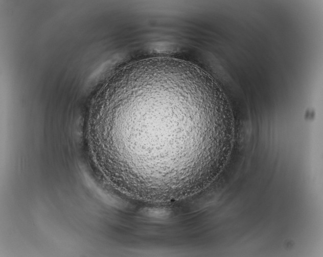 X0000112830639200908211218