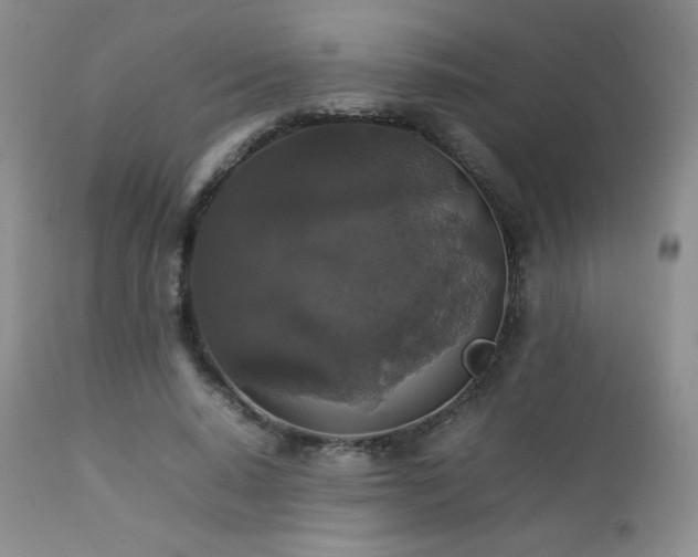 X0000112830640200908211218