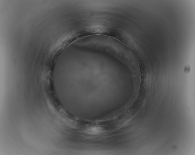 X0000112830643200908211218