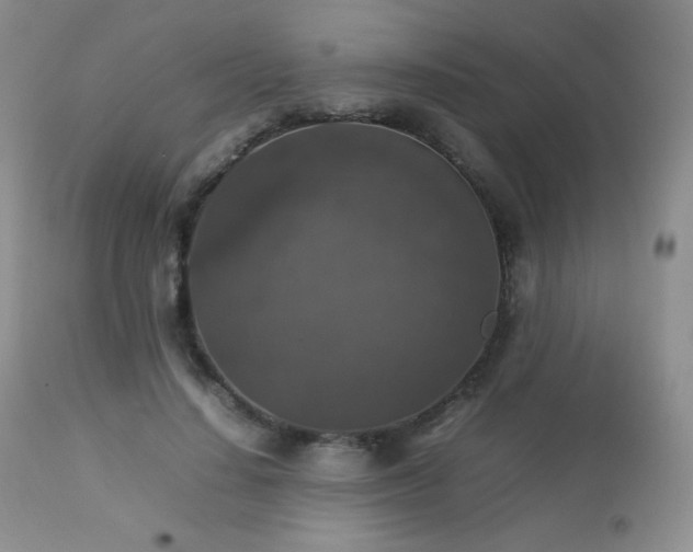 X0000112830644200908211218