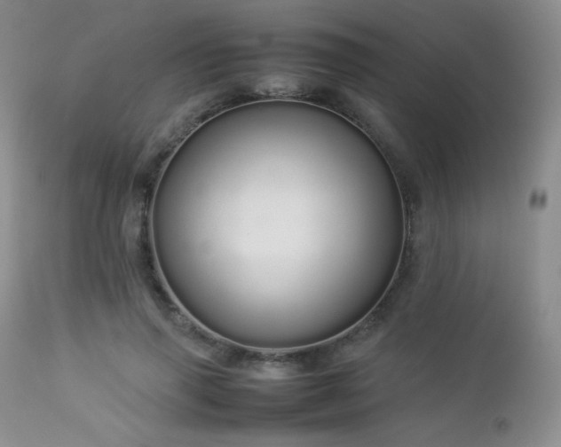 X0000112830645200908211218