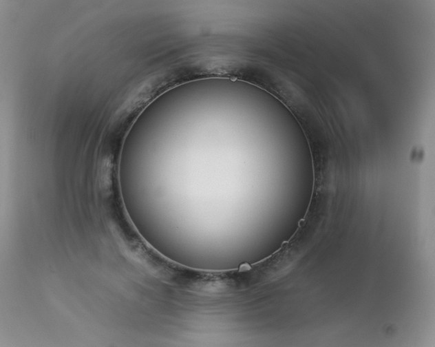 X0000112830646200908211218