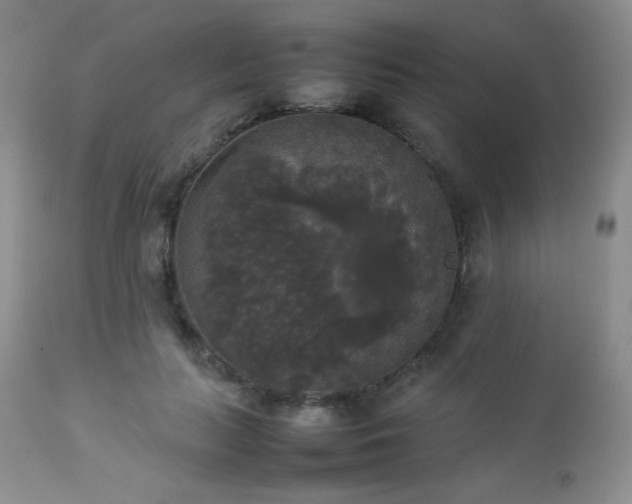 X0000112830647200908211218