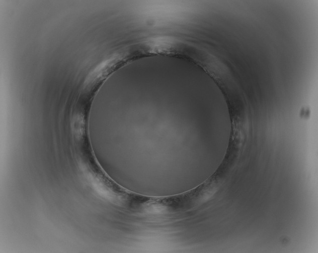 X0000112830648200908211218