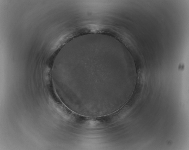 X0000112830650200908211218
