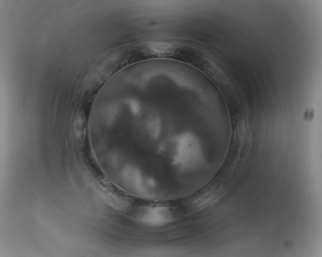 X0000112830651200908211218