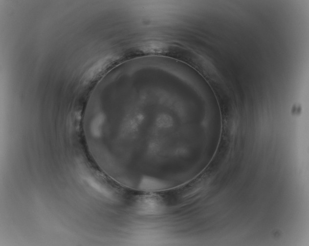 X0000112830652200908211218