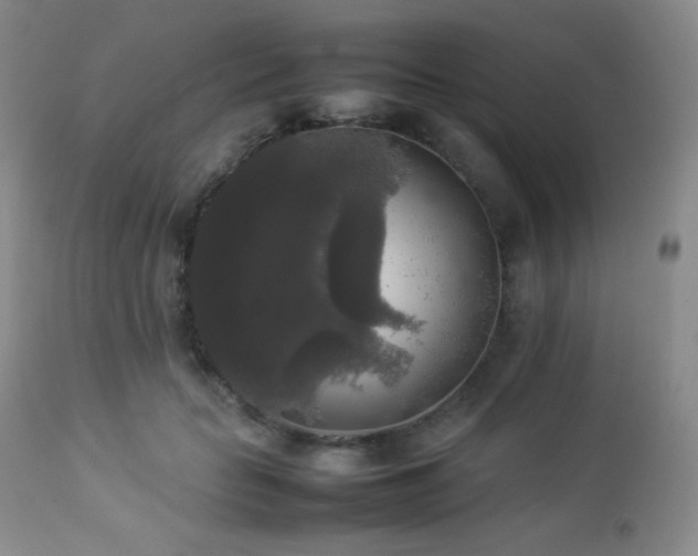 X0000112830653200908211218