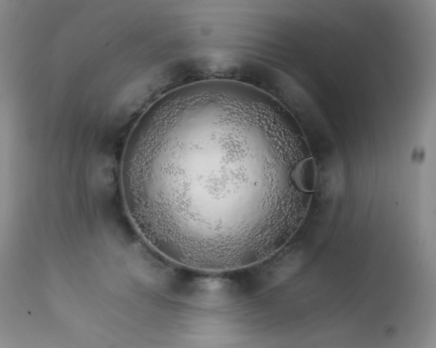 X0000112830654200908211218