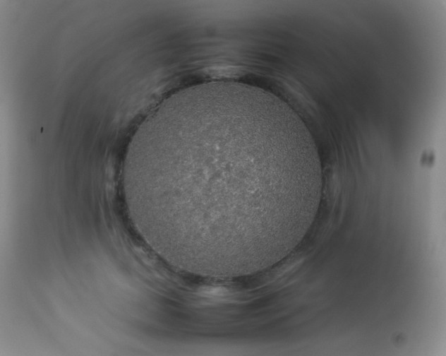 X0000112830655200908211218