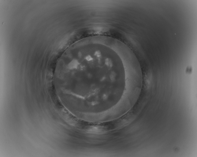 X0000112830657200908211218