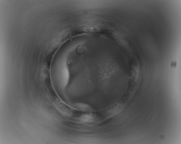 X0000112830659200908211218