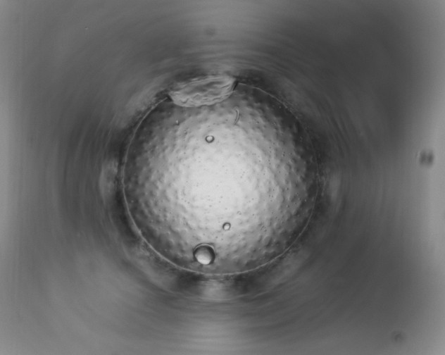 X0000112830660200908211218